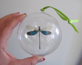 Real Green Dragonfly Damselfly Christmas Ornament Ball Globe Round Gift Neurobasis chinensis