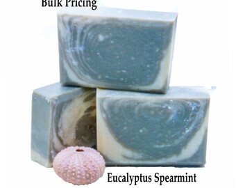 Eucalyptus Spearmint Soap Fathers Day Gift Bulk Pricied Soap Scented Soap Handmade Soap Cold Process Soap Vegan Soap Organic Soap