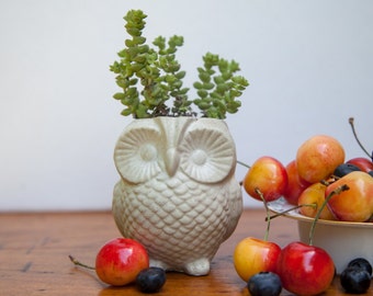 Owl Planter - Cast Cement, concrete handmade garden decor