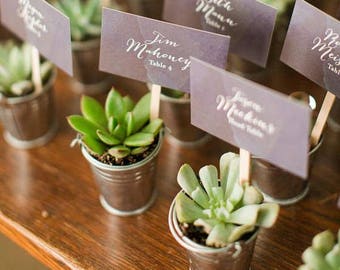 Succulent Favors | 24 DIY Favors | Succulent Planters | Mini galvanized buckets | Wedding Favors | This listing is BUCKETS ONLY