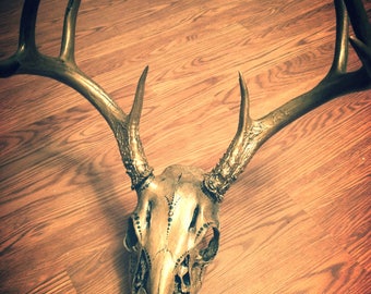 Hand painted deer skull