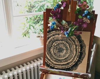Tree Rings