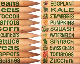 Veggie Garden Plant Pot Row Markers - 20 Green with Pics