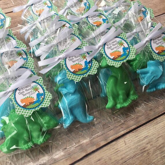 Dinosaur Party Favor Ideas Jerusalem House