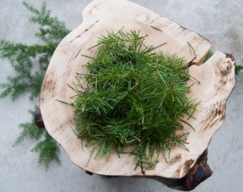 Fresh Organic Pacific Northwest Douglas-Fir Needles and Tips for Tinctures, Oil Infusions, Vinegars, Elixirs, Teas, Shrubs & More!