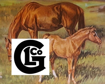 GP15448w "Looking For A Friend"by Ole Larson