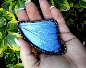 Real Butterfly Pendant, Large Blue Morpho, Butterfly Jewelry