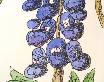 Bluebonnet with Two Leaves 4x6 original watercolor by Nan Henke