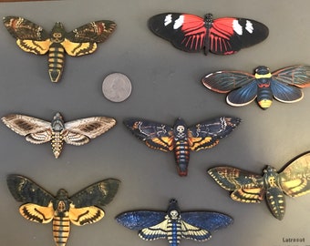 Moth Minders