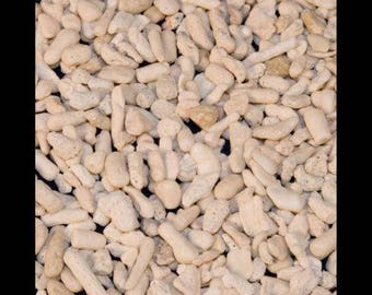 White Coral Sand Large Chips (1 Pound Bag) (EA)
