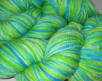 Earth Spinning- Hand-painted Superwash Merino Wool 160 yds. per skein