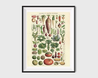 Printable Vegetable Print, Printable Vegan Gift, Printable Gifts for Vegans,Printable Kitchen Art, Vegetable Art, Vintage Kitchen Wall Art