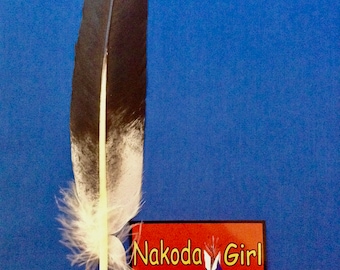 Native American *Nakoda Made* Hand Painted Replica BALD EAGLE Wing Feather