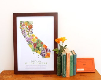 California Wildflower Poster: 25 Native California Wildflowers