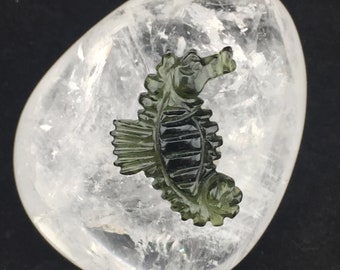 A Seahorse: Totem / Talisman / Amulet / Figurine (16)