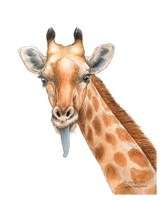 Giraffe malen ORIGINAL Art-Watercolour Feder und Tinte 8