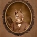 5x7 inch Hot Digital Dog Squirrel Twin Earl
