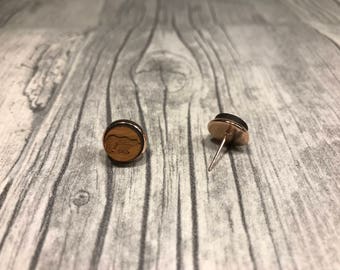 Holzohr Plug Polar Bears