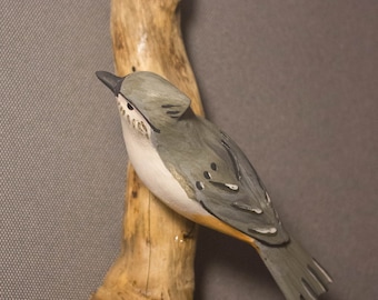 Tufted Titmouse - left facing