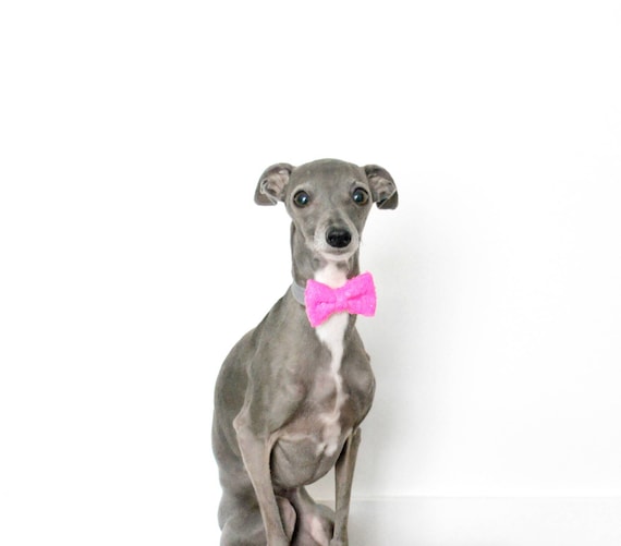 Dog Bow Tie Bowtie || Cat Neck Tie || Bowtie for Kitty || Pet Bow Tie || Cat Costume