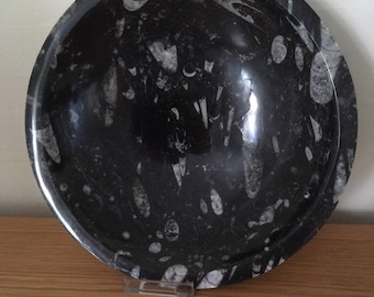 Large Fossil Orthoceras Bowl/Dish,Fossils