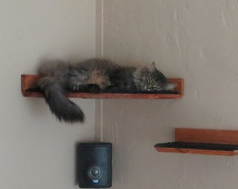 Floating Corner Cat Bed / Shelf - w/ Hidden Brackets