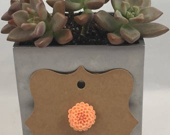 Chrysanthemum Pin Salmon Orange