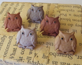 5 Owl Buttons A Parliament of Owls Plastic Shades of Brown