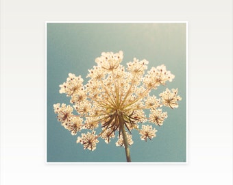 CLEARANCE SALE! Flower Art, Blue and Gold Wall Art - Queen Anne's Lace