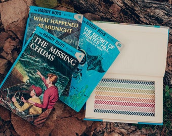 Secret Hollow Book Safe - Hardy Boys
