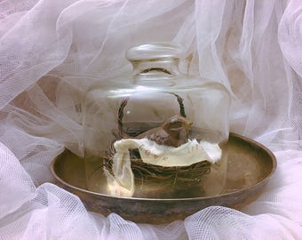 Vintage glass cloche, bell dome glass cloche, dome glass cloche, glass terrarium