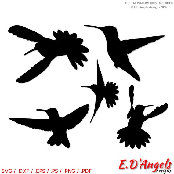 Hummingbird svg, svg files for cricut, files for ...