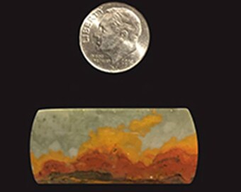 EA 202 Rocky Butte Jasper Cabochon