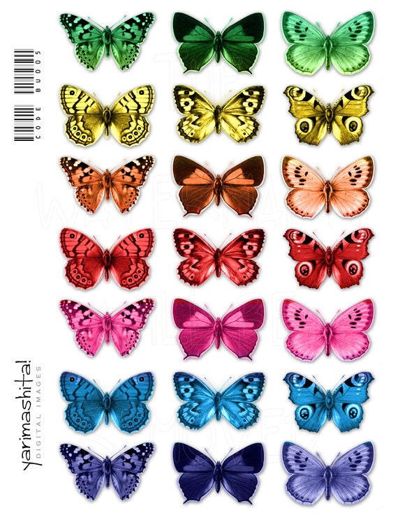 items similar to rainbow butterfly images digital collage