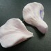 NASTURTIUM PETAL . Fondant Mold. Quality Australian Made Silicon, for Fondant, SugarCraft, Elegant Cake Decorating