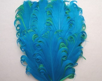 Turquoise on Green Curled Goose Feather Pad