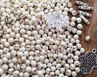 White, Real Natural Acai Beads, Acai Seeds, Organic Beads, Natural Seeds, South American, {Pick your qty}