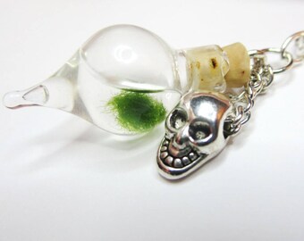 Mini Terrarium Marimo Moss Ball - Marimo Terrarium - Marimo Moss necklace -lucky Orb Marimo Moss Ball