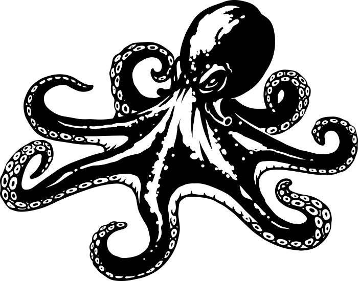 Download Octopus 1 Ocean Sea Marine Squid Tentacle Underwater Aquatic