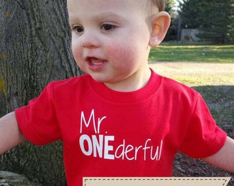 Mr ONEderful! - 1st Birthday shirt - Front and Back design - Name on back - first birthday - one year old - Mr Wonderful - onederful