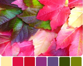 Premo Polymer Clay Color Mixing Recipes for Color Palette #1
