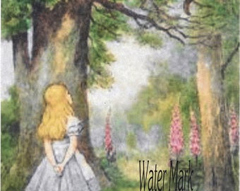 Alice in Wonderland and the Cheshire cat in color*Quilt art fabric block*Quilts,Pillows,Sachets,Frame