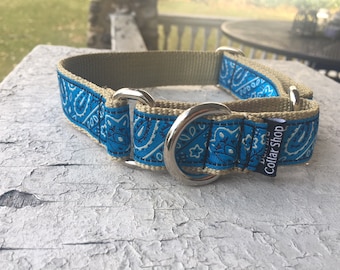 Blue Bandana - 1" Martingale Collar
