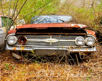 1960 Chevy BelAir with in the woods Photograph