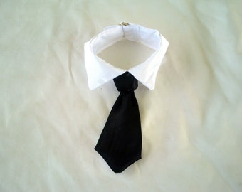 Dogs, Cats, Pets TIE / Collar
