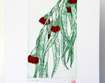 Eucalyptus - Original Etching