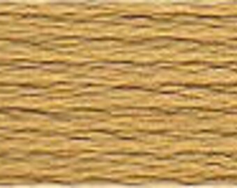 Perle Cotton Size 5 DMC Color 834 - SKEIN