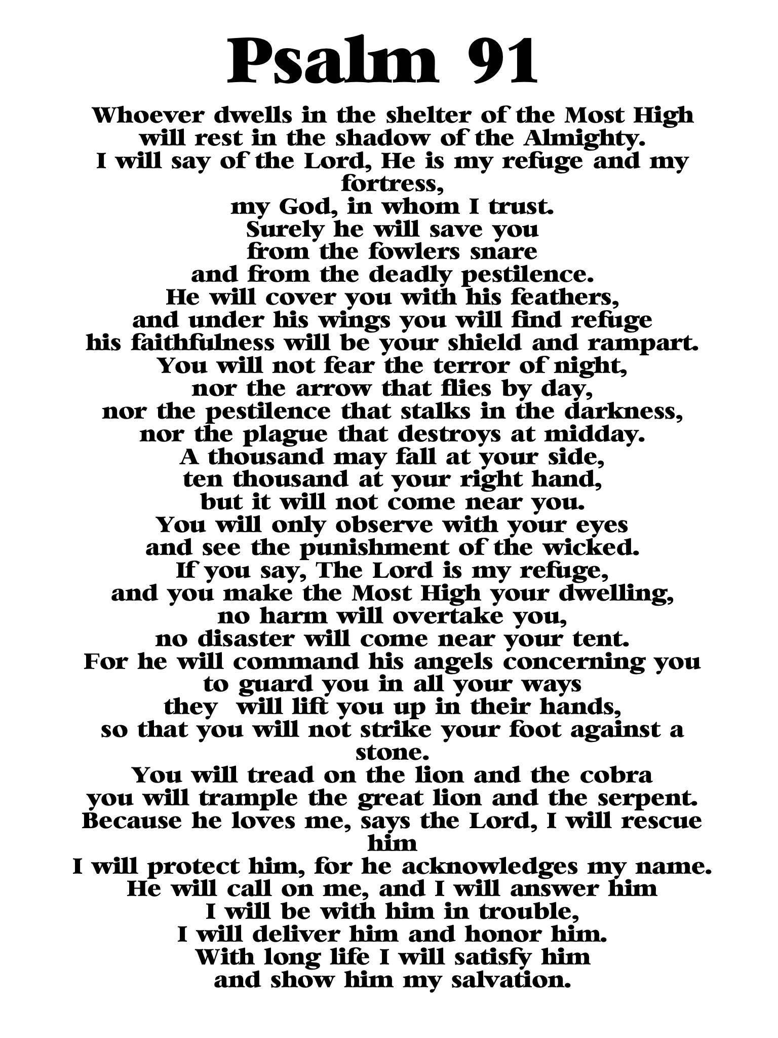 NIV Psalm 91 prayer cards 2 9 x 4 1 inches professionally