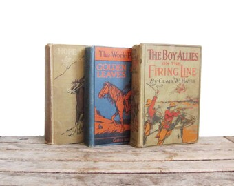 Vintage Wild West Book Set - Cowboys and Native Americans - Decorative Bindings - 20th Century Novels