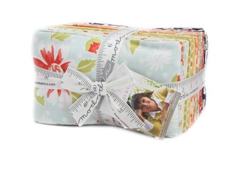 Coney Island Fabric - Fat Eighths - Moda - Fig Tree & Co